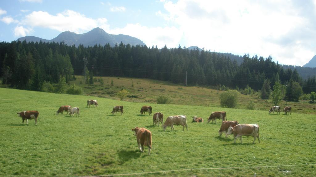 Appartamento Haus Hubertus Hochfilzen Esterno foto